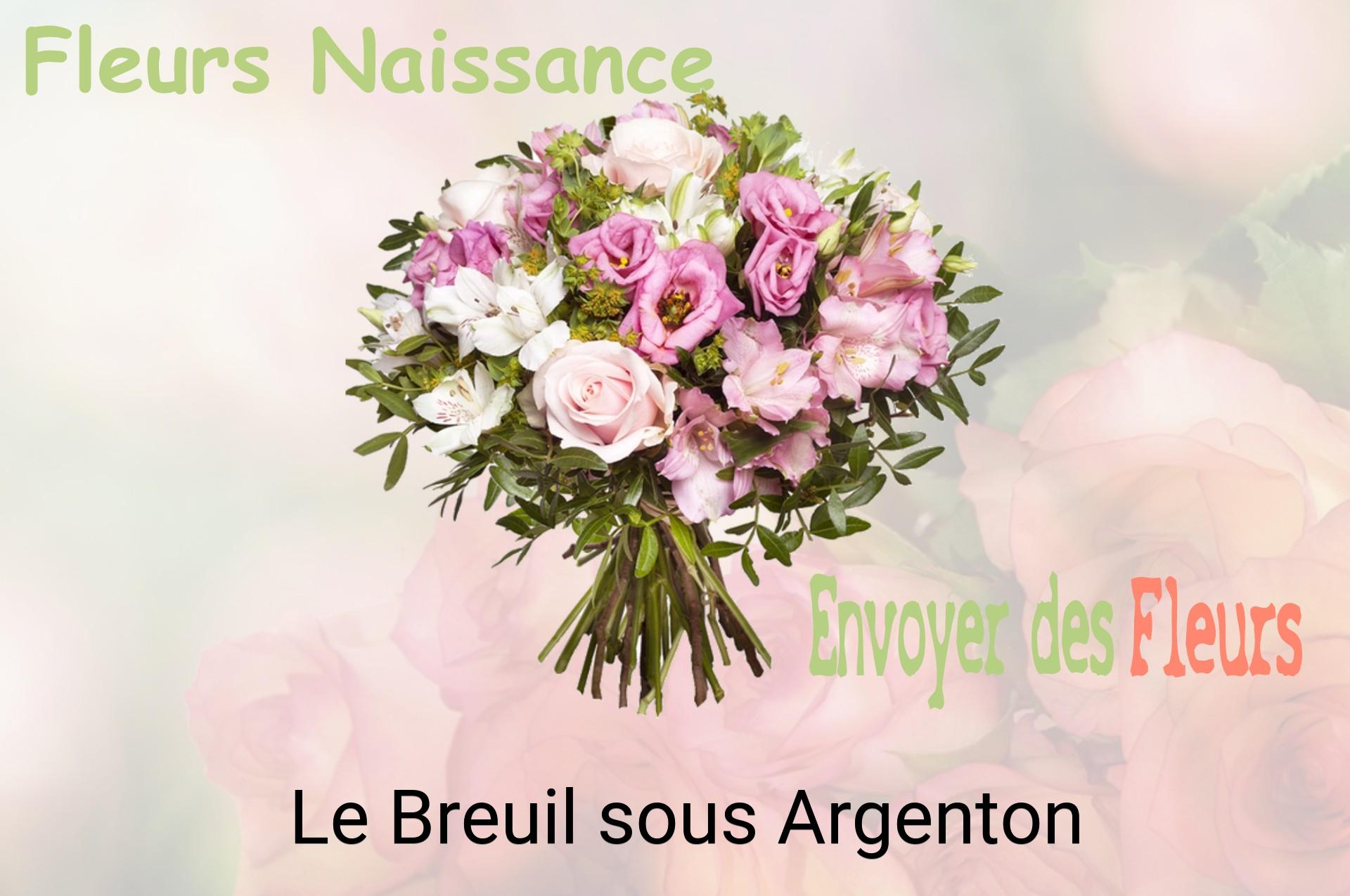 Bouquet de fleurs de naissance livré à Le Breuil-sous-Argenton